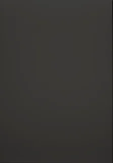 Dark slab door